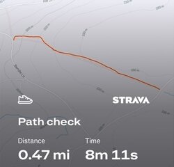 Pitt Lane - Lambscombe